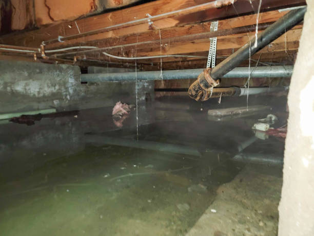 Water damage restoration process in Jackson, LA