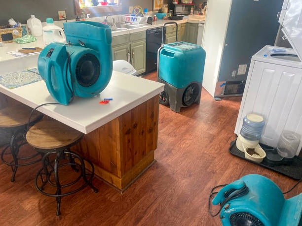 Water damage restoration experts in Jackson, LA