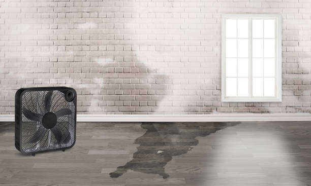 Best Residential water damage restoration  in Jackson, LA