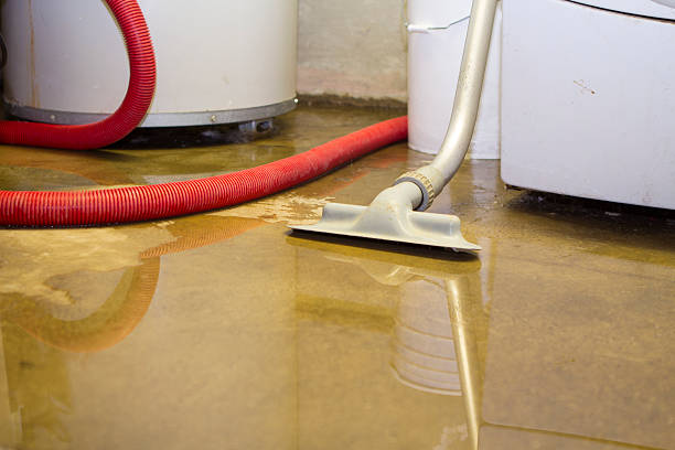 Best Sewage cleanup and water damage restoration  in Jackson, LA