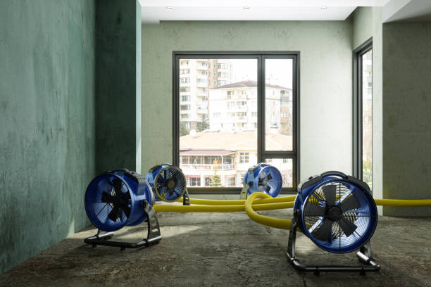 Best Water damage restoration near me  in Jackson, LA